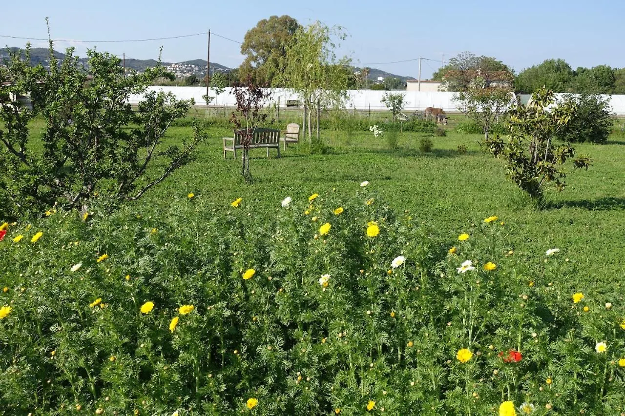 Holiday home Gite Du Pagoulin - Gite Villa Hyeres