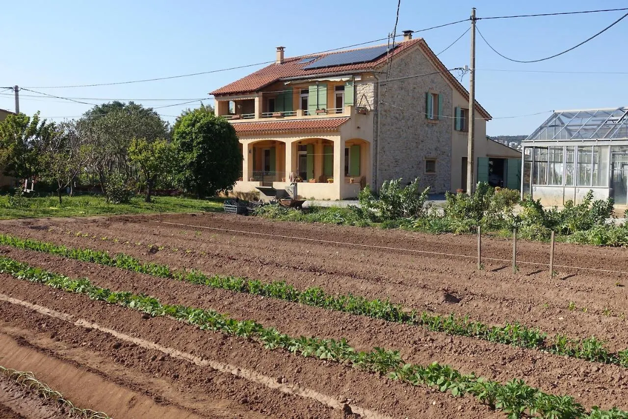 Dom wakacyjny Gite Du Pagoulin - Gite Hyères Francja