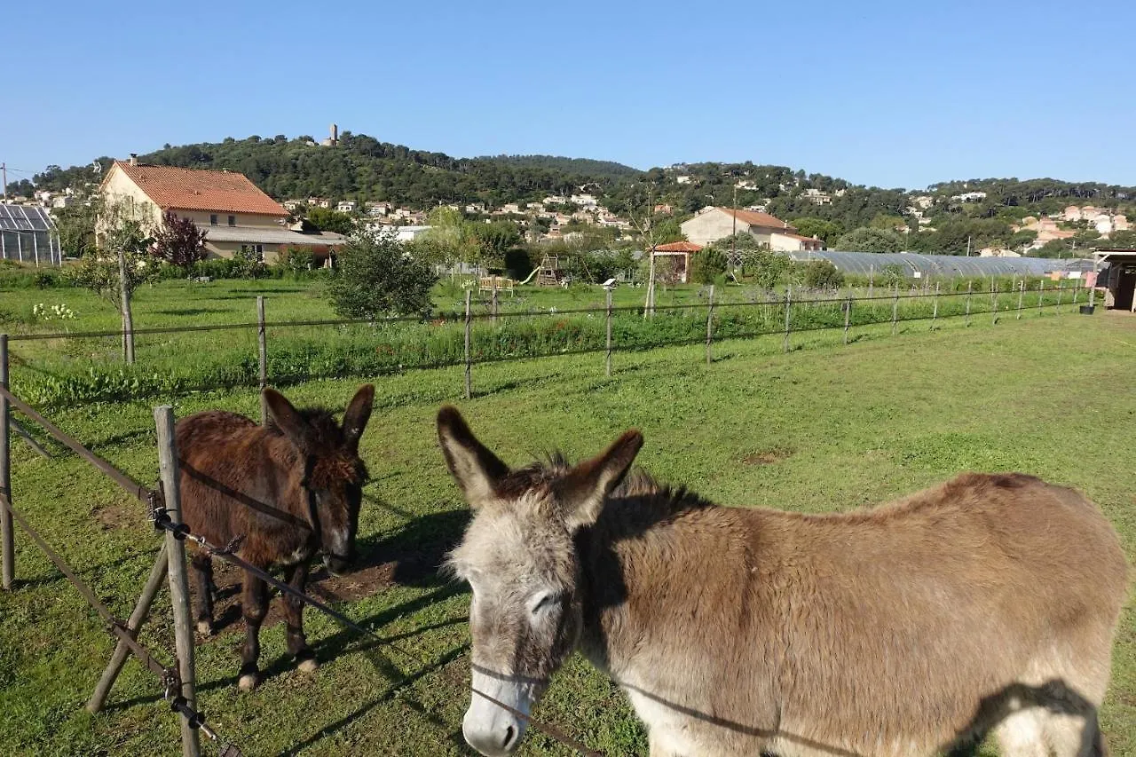 Gite Du Pagoulin - Gite Hyères 0*,